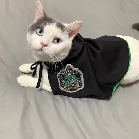 Disfraz de manto para mascotas, decoración de Halloween — imagen 15