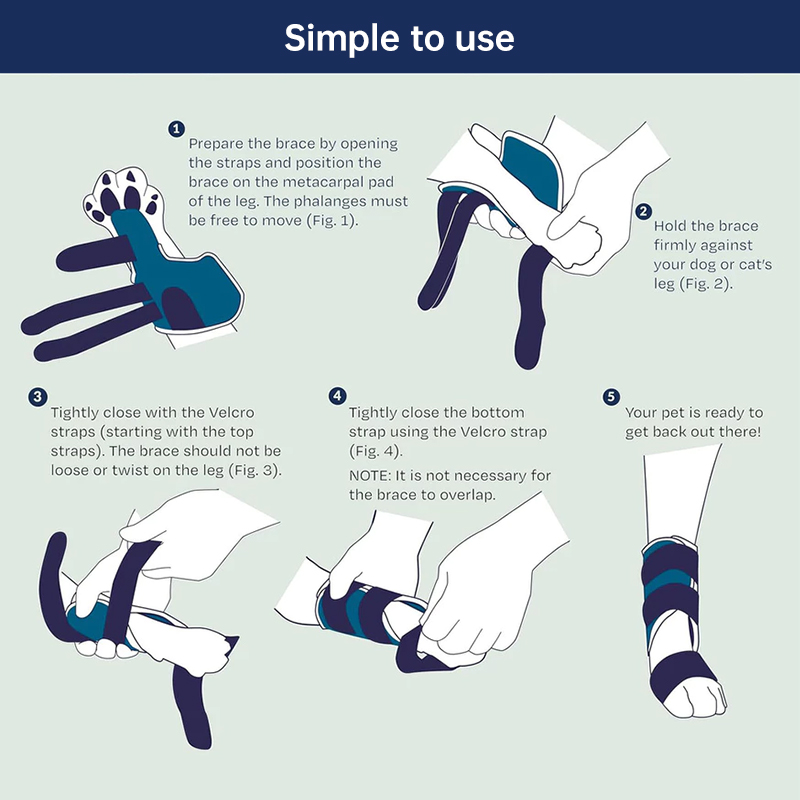 Dog Front Leg Brace – Carpal Hyperextension Splint for Fractures & Sprains — image 5