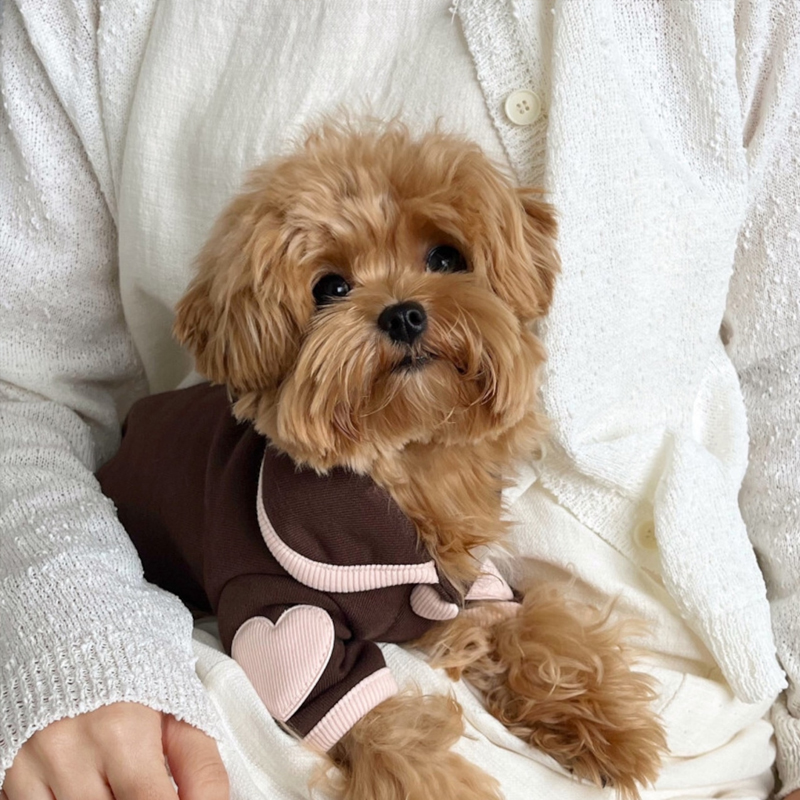 Ropa de mascotas, onesie suave, chaqueta para Bichón, ropa de invierno con corazón, vestidos de perro de dos patas con botones de snap — imagen 6