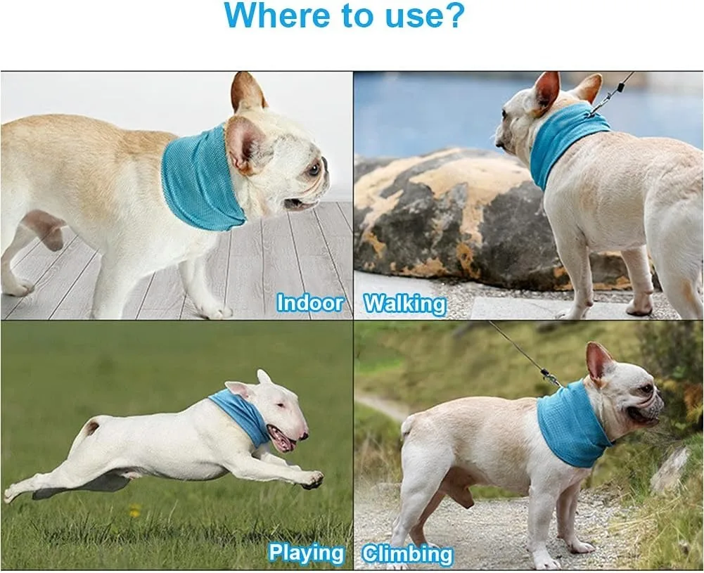 Pañuelo de enfriamiento para perros - Bandana de refrigeración para caminatas y viajes con mascotas — imagen 6