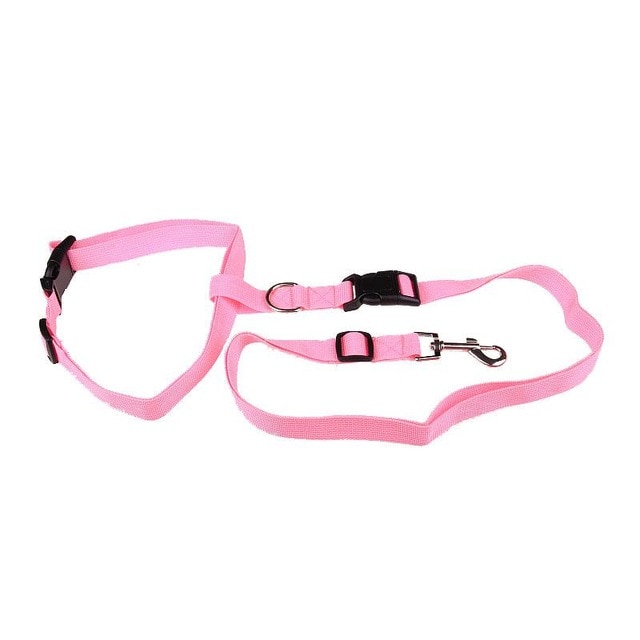Correa de Tracción Atractiva para Perros, Ideal para Correr y Trotar, Conveniente, Segura y de Moda — imagen 6