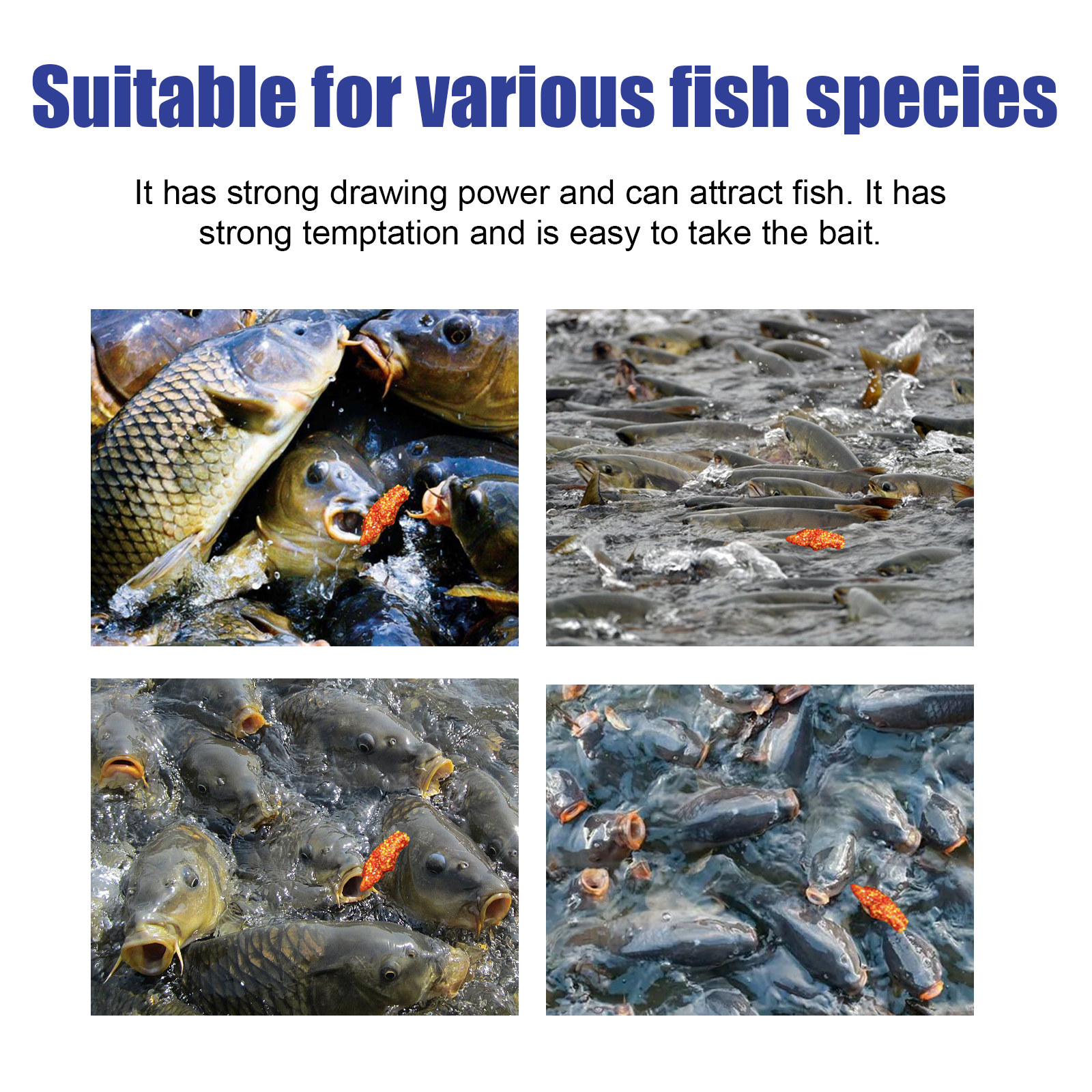 Yegbong Jellyfish Status Powder, Bait For Fishing Wild Fishing Bait Crucian Tilapia Bait — image 5