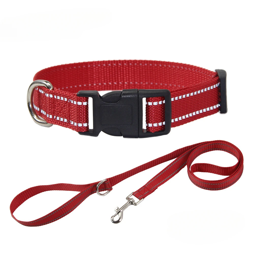 Conjunto de Cuello y Correa para Perros en Nylon - Accesorios para Mascotas Pequeñas, Medianas y Grandes — imagen 19