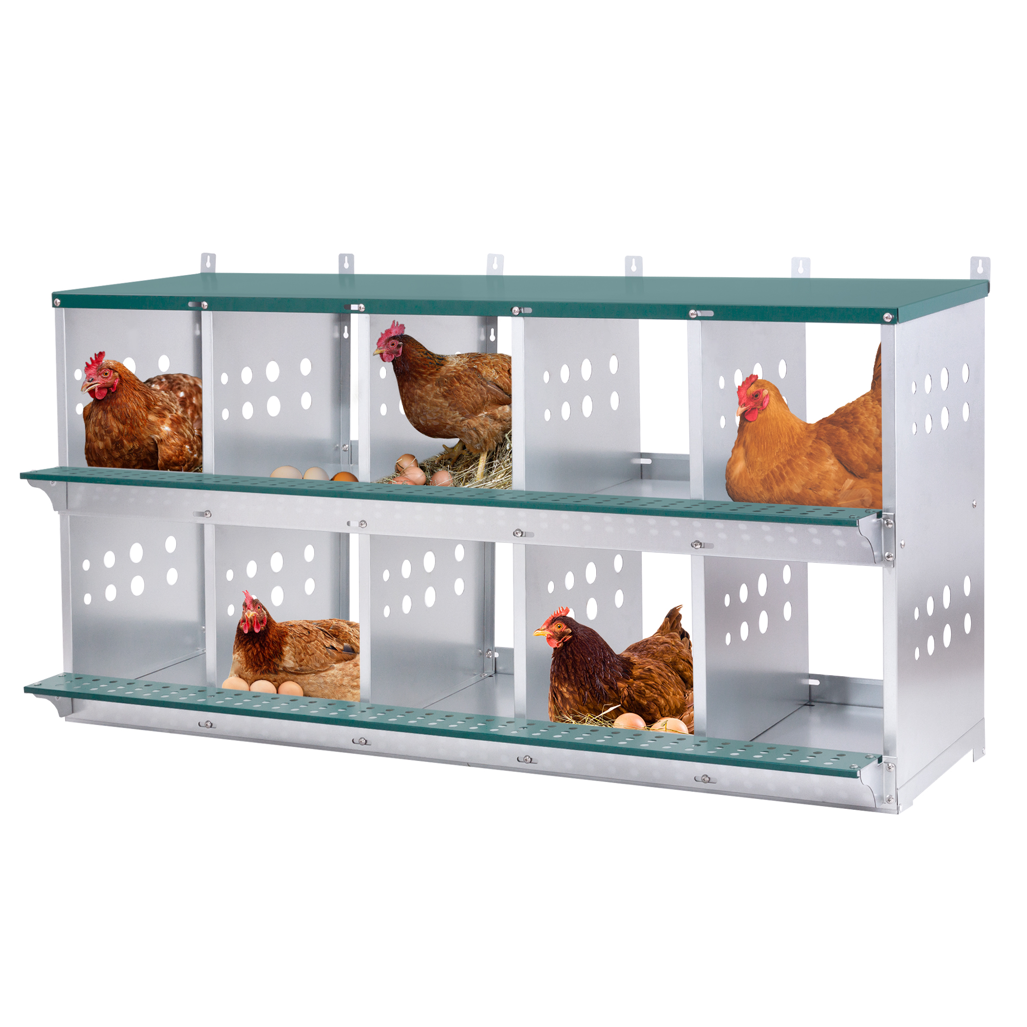 Nidal Metálico de 10 Compartimentos para Montaje en Pared, para Gallinas y Patos, Fácil Recolección de Huevos, Equipo de Gallinero de Acero Galvanizado Ventilado, Verde — imagen 1