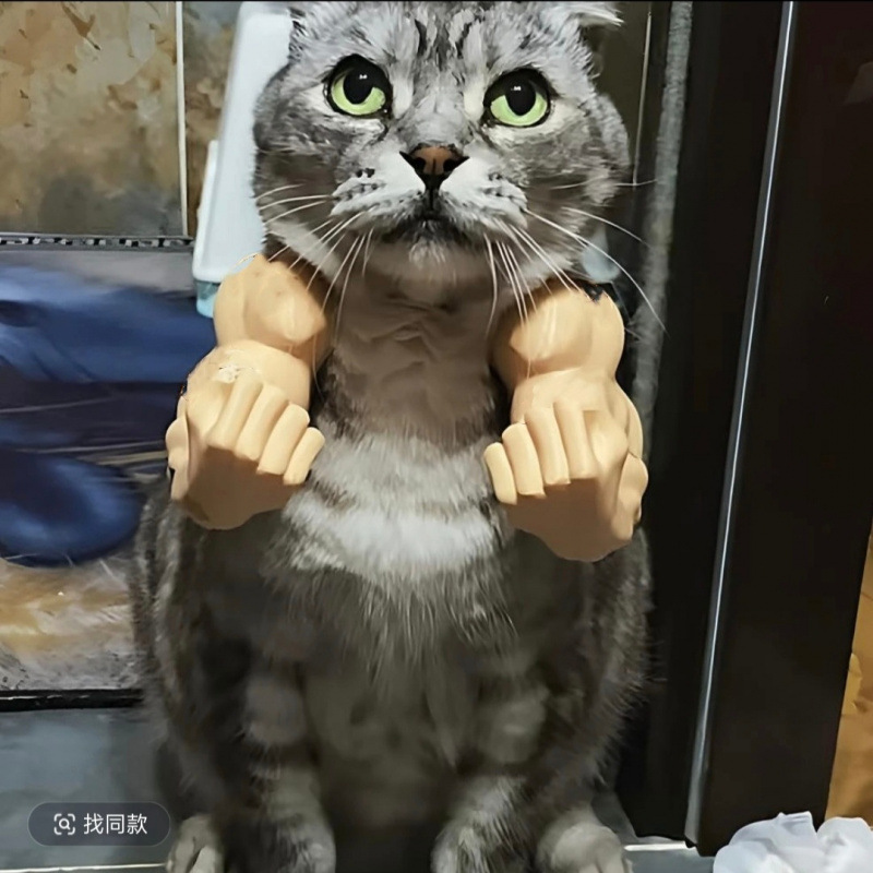 Hulk Cat Arm Pet Dog Toy Photography Prop 3D Printed Cute Funny Creative Cat Costume Backpack — image 7