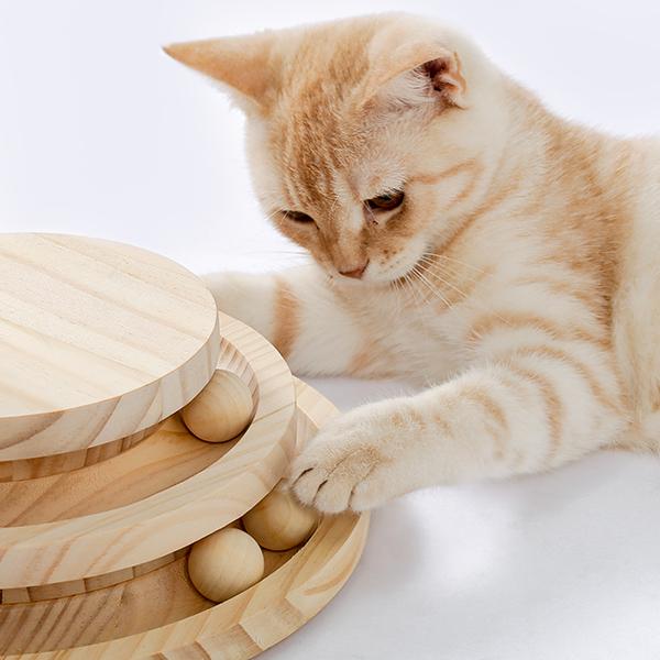 Indoor Cat Soft Scratching Board And Interactive Ball Track Toy Cat Rest And Grooming Supplies — image 16