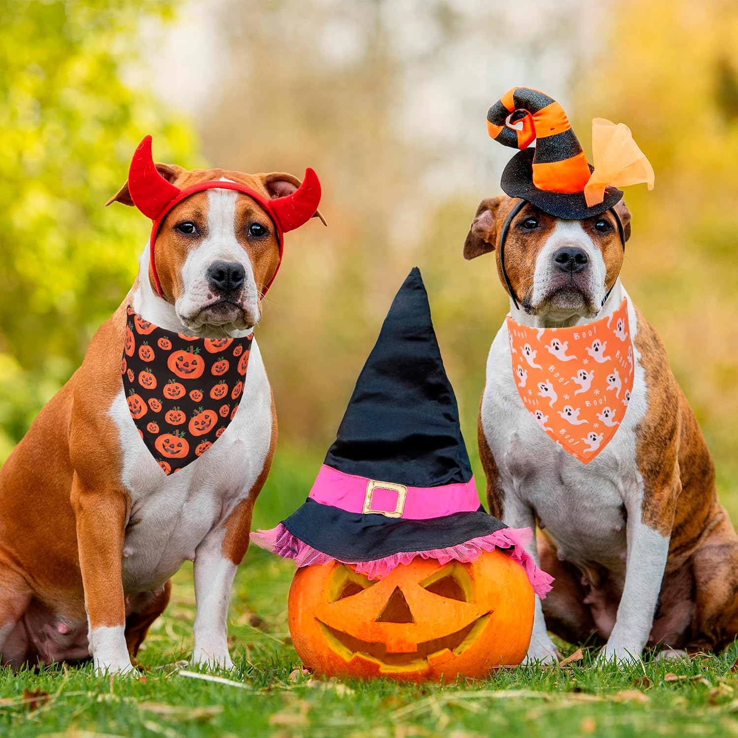 Dog Bandanas 4 PCS, Skeleton Ghost Pumpkin Pet Scarves For Dogs, Adjustable Triangle Bibs, Large — image 3