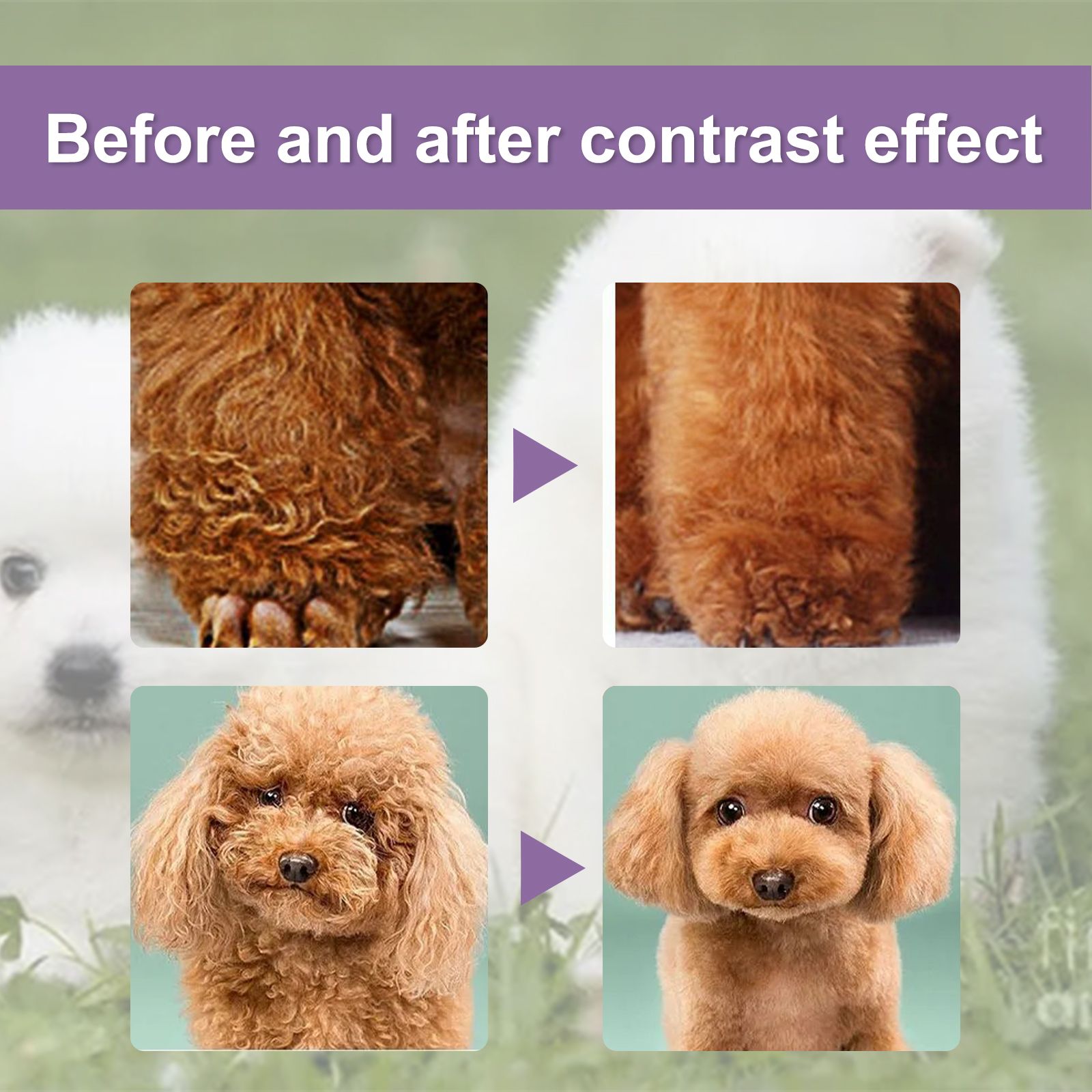 Pet Hair Conditioner For Dogs Cats, Moisturizing Detangling Pet Coat Conditioner, Anti Static, Softens & Brightens Fur, Long Lasting Fragrance, 50ml — image 3