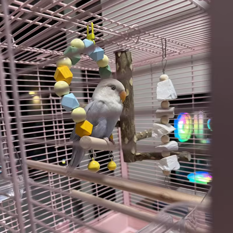 Juguetes de Suelo para Pájaros - Accesorios para Aves Coloridos en Colores Aleatorios — imagen 6