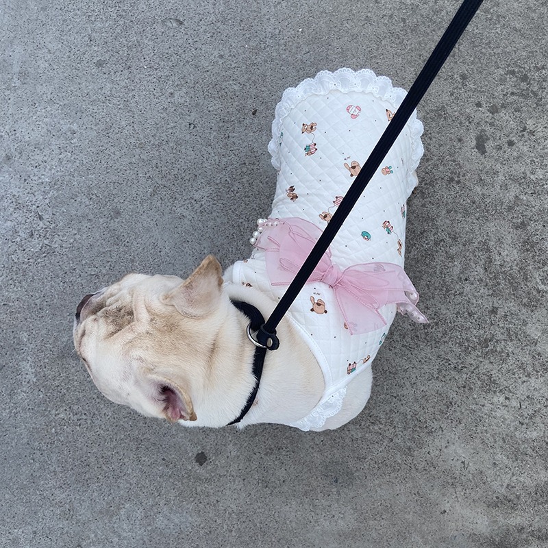 Pet Clothes Spring Fall And Winter Cat Clothes Ins Faro Clothes Dog Clothes Beautiful Clothes — image 4