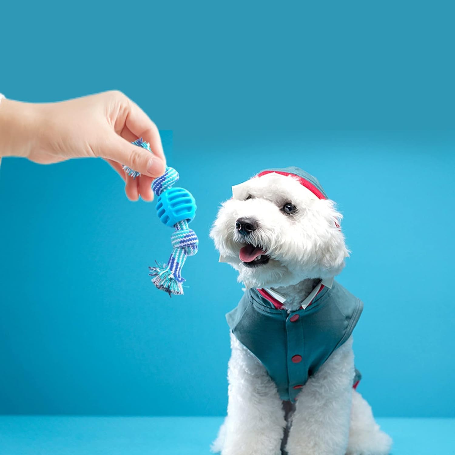 Chew Toys Molar Toy Cute Dog Toys With Ropes Chew Toys Dog Soft Durable Dog Chew Toys Cleaning Teeth And Protects Oral Health Blue — image 2