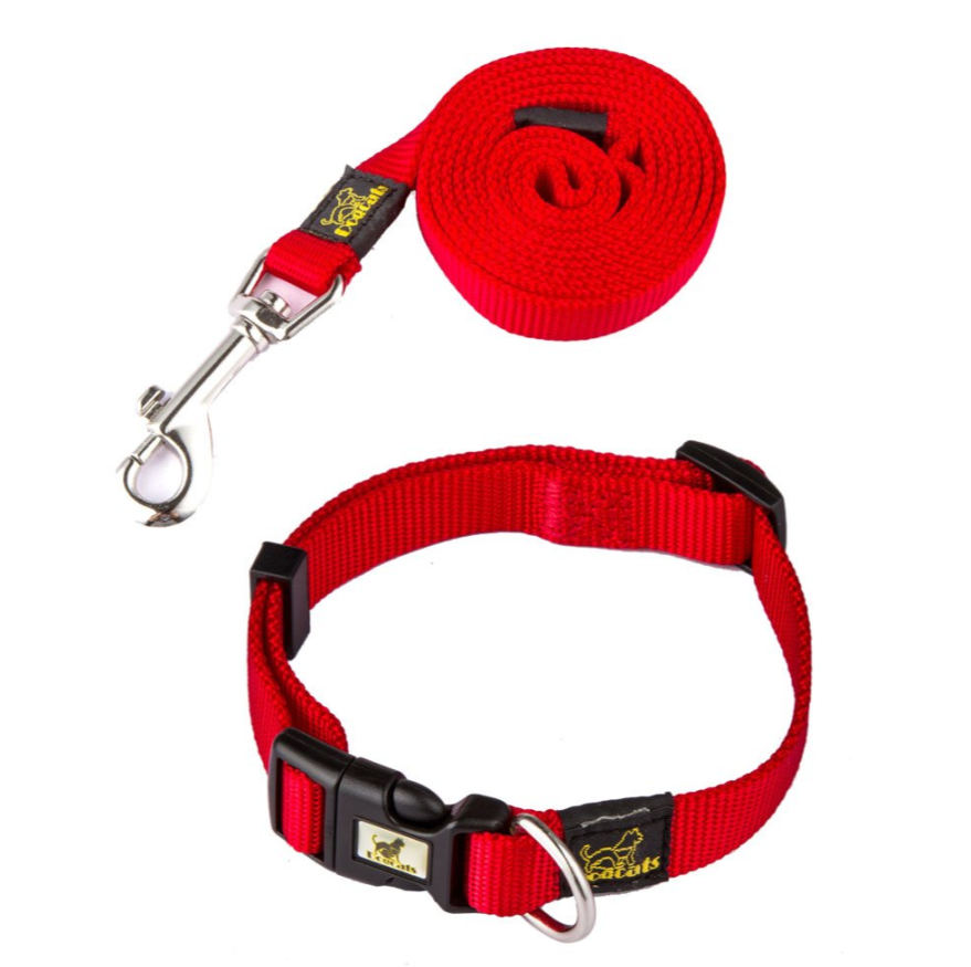 New Dog Nylon Collar (Including Leash) Set European And American Fashion Pet Supplies — image 4