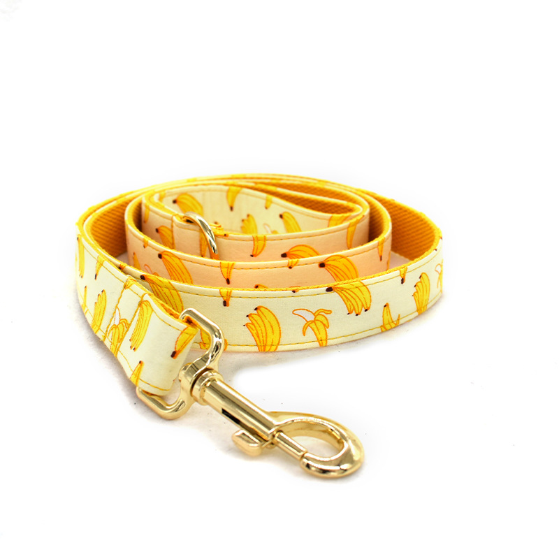 Collar de Trazo Amarillo para Perros con Cuerda de 1.5m y Broche de Oro Personalizable — imagen 6