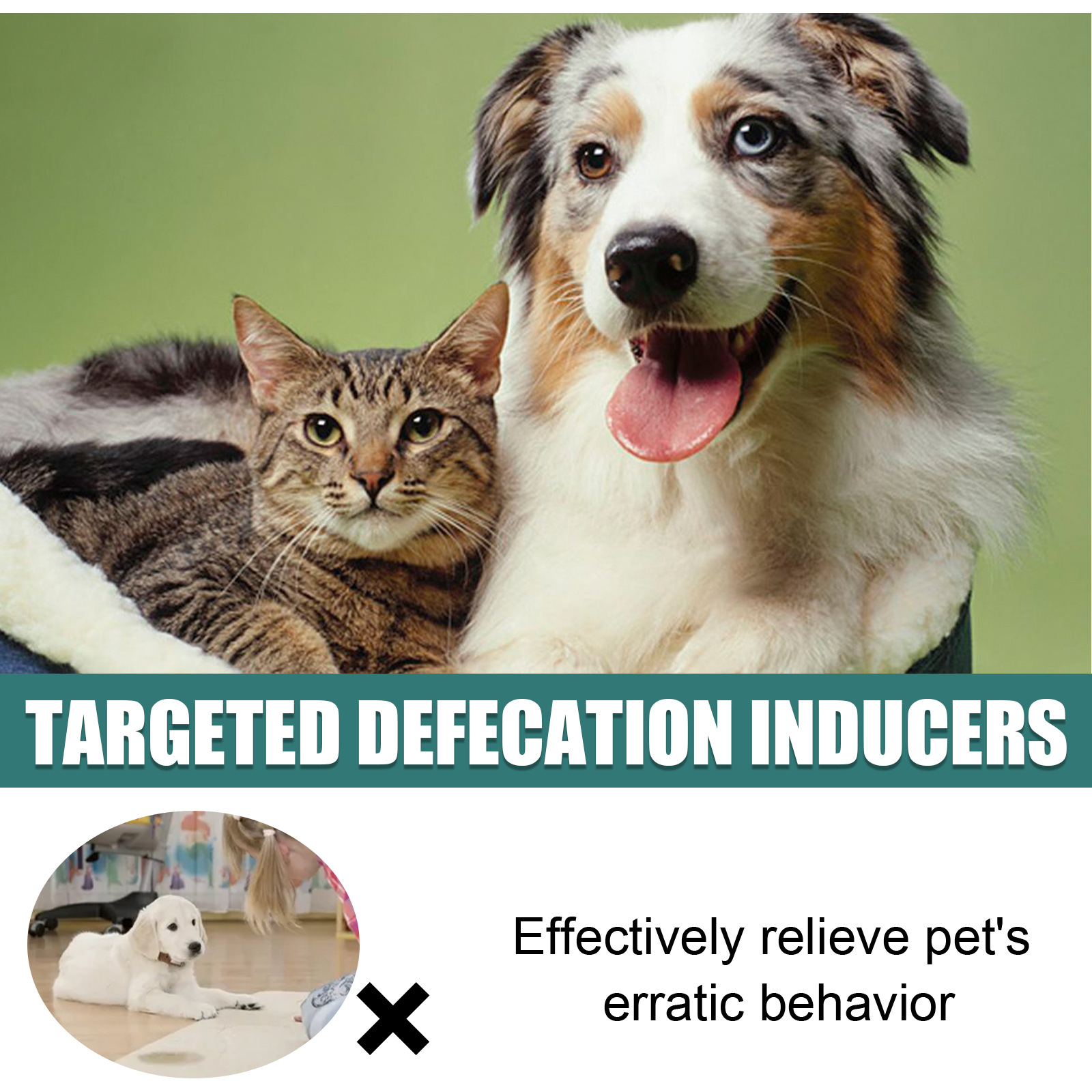Pet Location-Based Defecation Inducers, Pet Toilet Inducer Urine Locator Toilet Training Agent — image 6