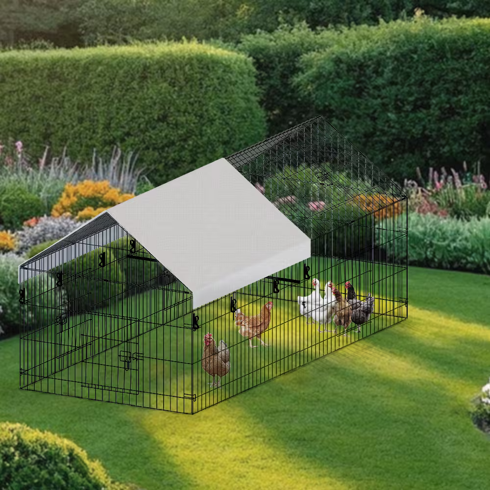 Casa de Gallinas con Alambre Puntiagudo para Cría Avícola — imagen 7