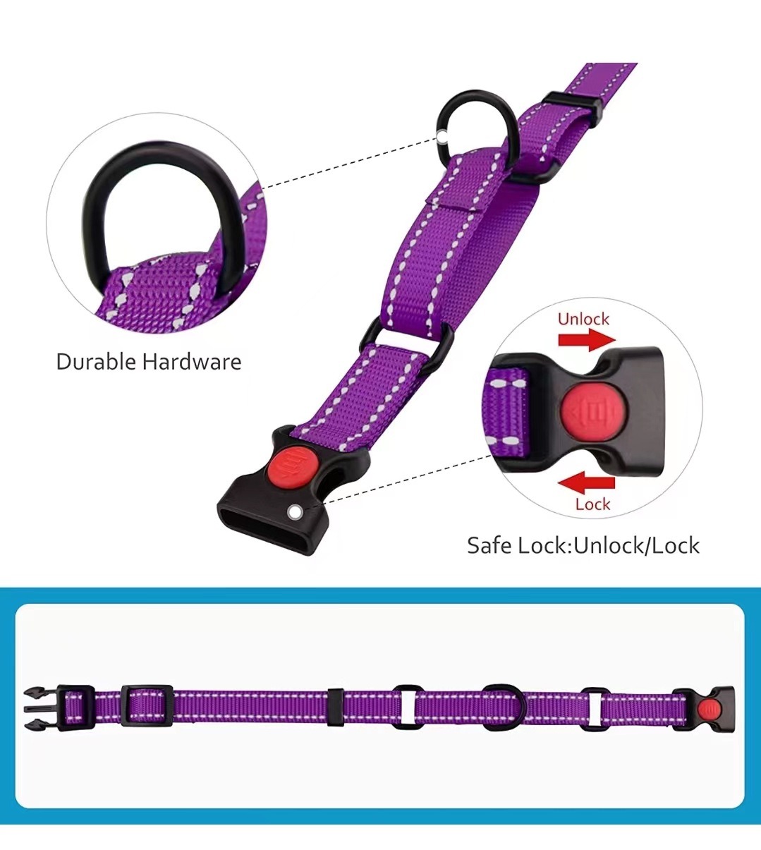 Collar de Perro - Conjunto de Collar y Correa Reflectante con Cuerda de Tensión — imagen 10