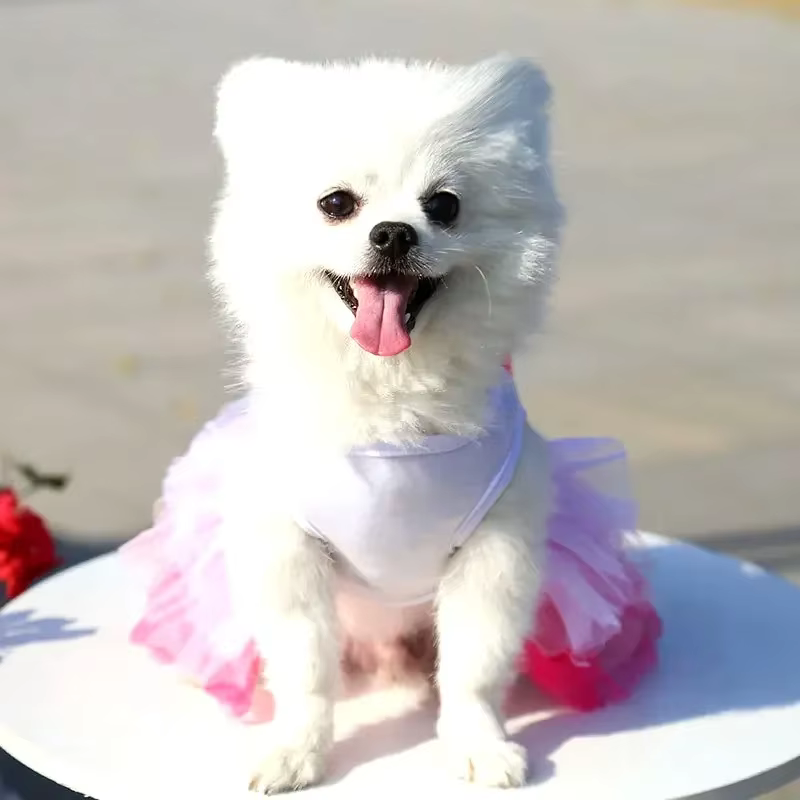 Spring Dog Lace Dress Pet Dog Clothes For Small Dog Party Birthday Wedding Dress Puppy Costume Pet Clothes — image 2