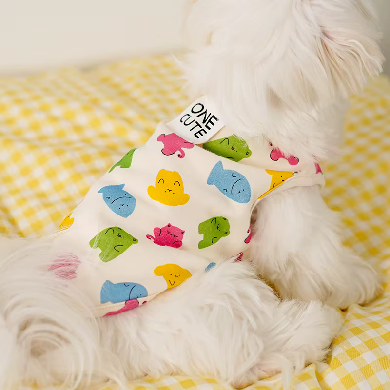 Ropa y accesorios para gatitos: prendas de enfriamiento, chaquetas y chalecos de suéter para perros — imagen 1