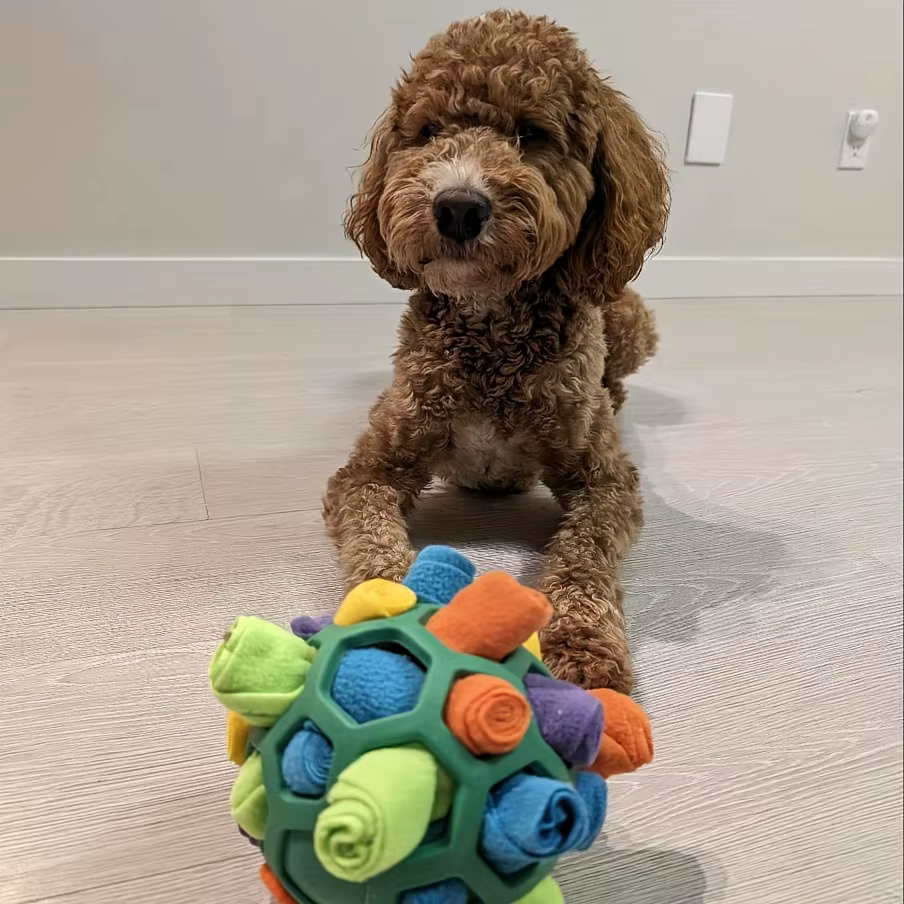 Juguetes Interactivos para Perros - Pelota de Olfateo con Escondites para Comida - Bola de Goma para Estimulación Mental en Suministros para Mascotas — imagen 3