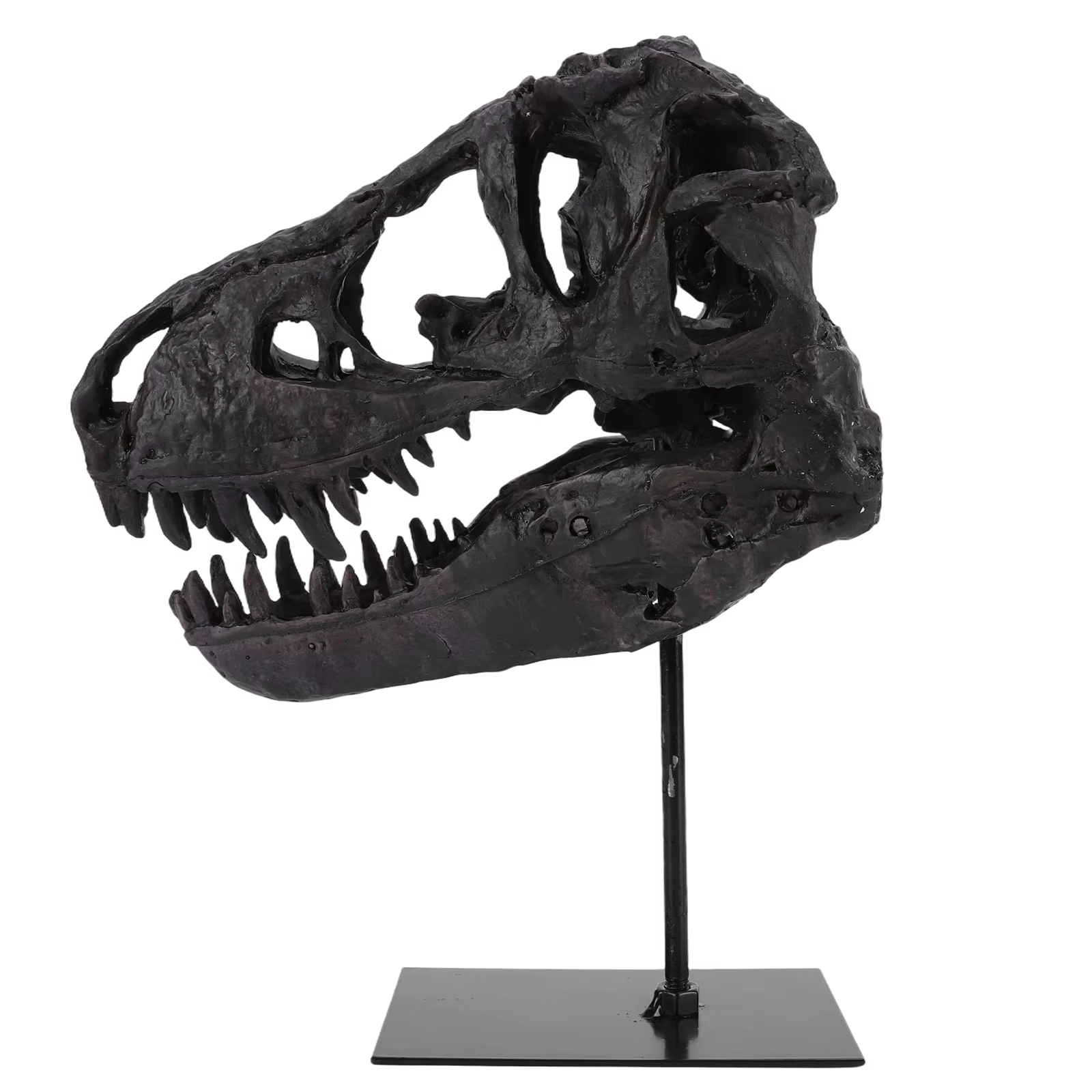 Dinosaur Skull Statue Resin Replica Head Sculptures with Bracket Skull Sculptures Gift for Kids and Adults — image 3