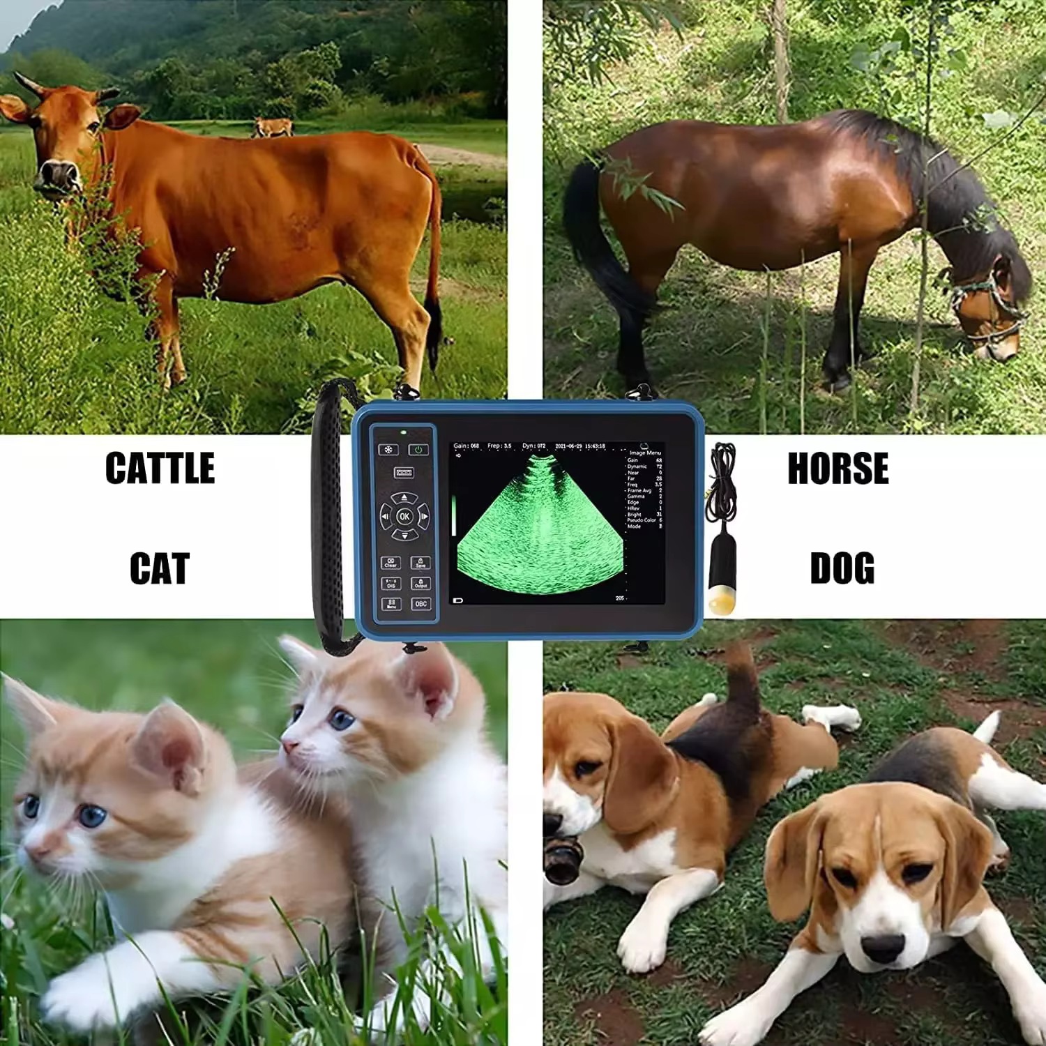Portable Veterinary Ultrasound Scanner for Pregnancy Vet B-Ultrasound Machine with 3.5MHz Convex Probe for Pig Sheep Dog Animals — image 7