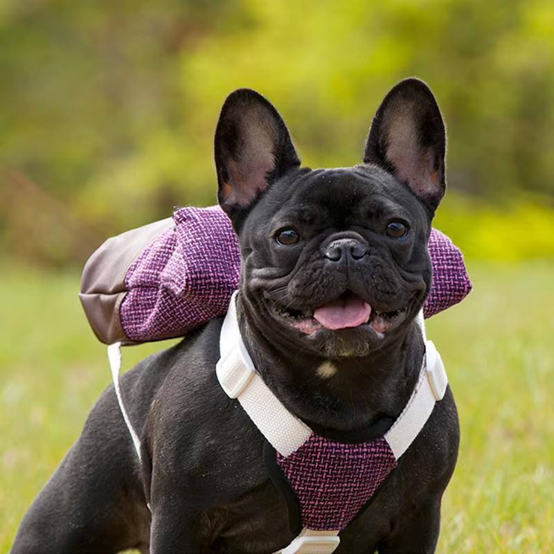 Mochila para Perros - Arnesón Respirable Ajustable con Bolsa de Comida para Cachorros y Puppies — imagen 4