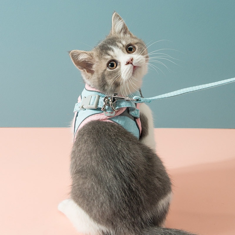 Faja de correa estilo chal universal para gato y cadena para perro — imagen 5