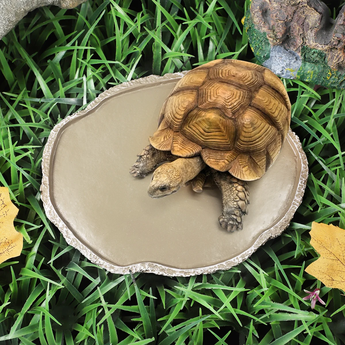 Pets Feeding Plate Reptile Feeding Bowl Vivarium Food Water Dish Resin Bowl For Turtle Gecko Snake Breeding Tray Reptile Bowls — image 1