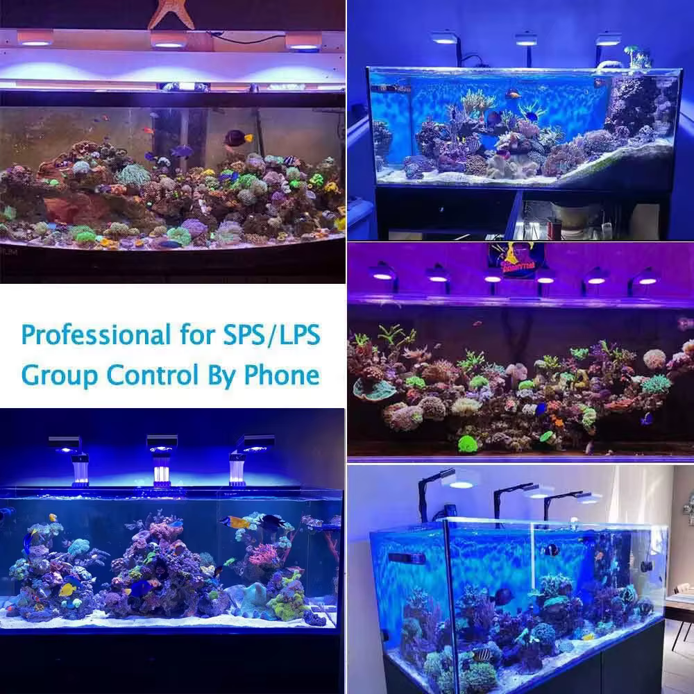 PopBloom RL90 WiFi Luz de Acuario Marino con Wi-Fi 100W, Led Completo para Acuarios de Arrecife y Corales Profesionales para Tanques de Peces LPS/SPS — imagen 6
