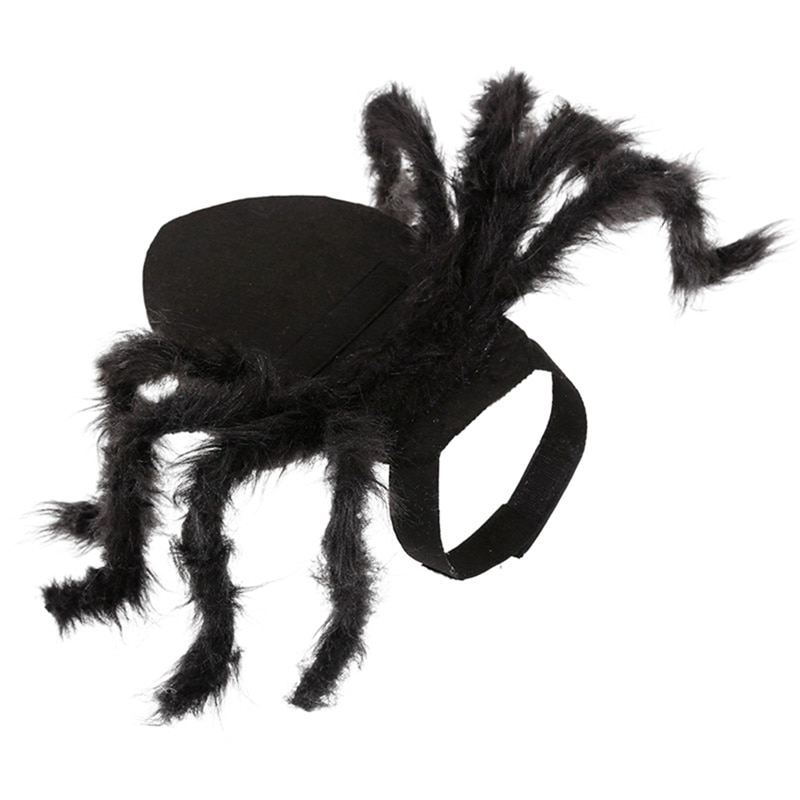 Ropa de Araña para Mascotas: Disfraz de Halloween para Perros y Gatos con Pelo Largo Negro — imagen 6