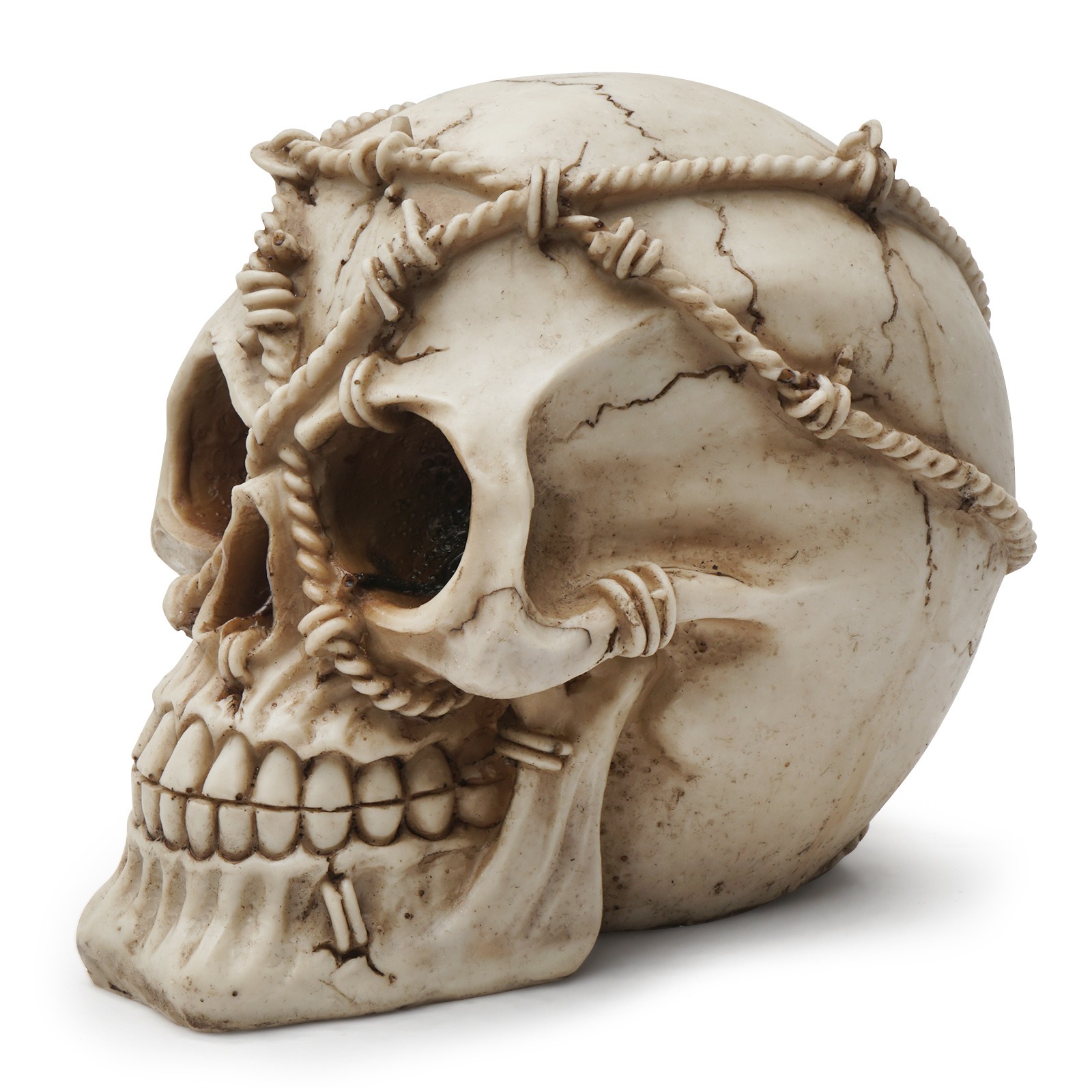 Resin Craft Skeleton Animal Skull — image 5