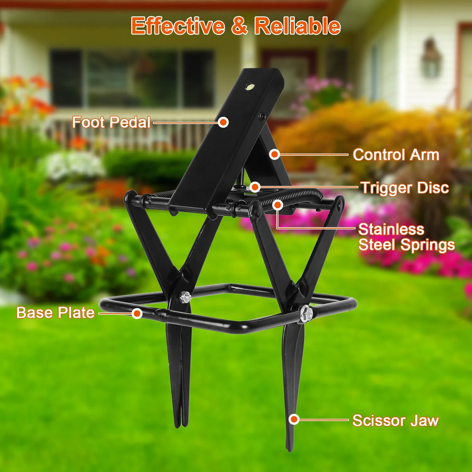 Powerful Mole Snap Trap - Thickened Waterproof Metal, Easy Foot-Step Setup, Humane Instant Kill, Safe for Lawn & Pets — image 5