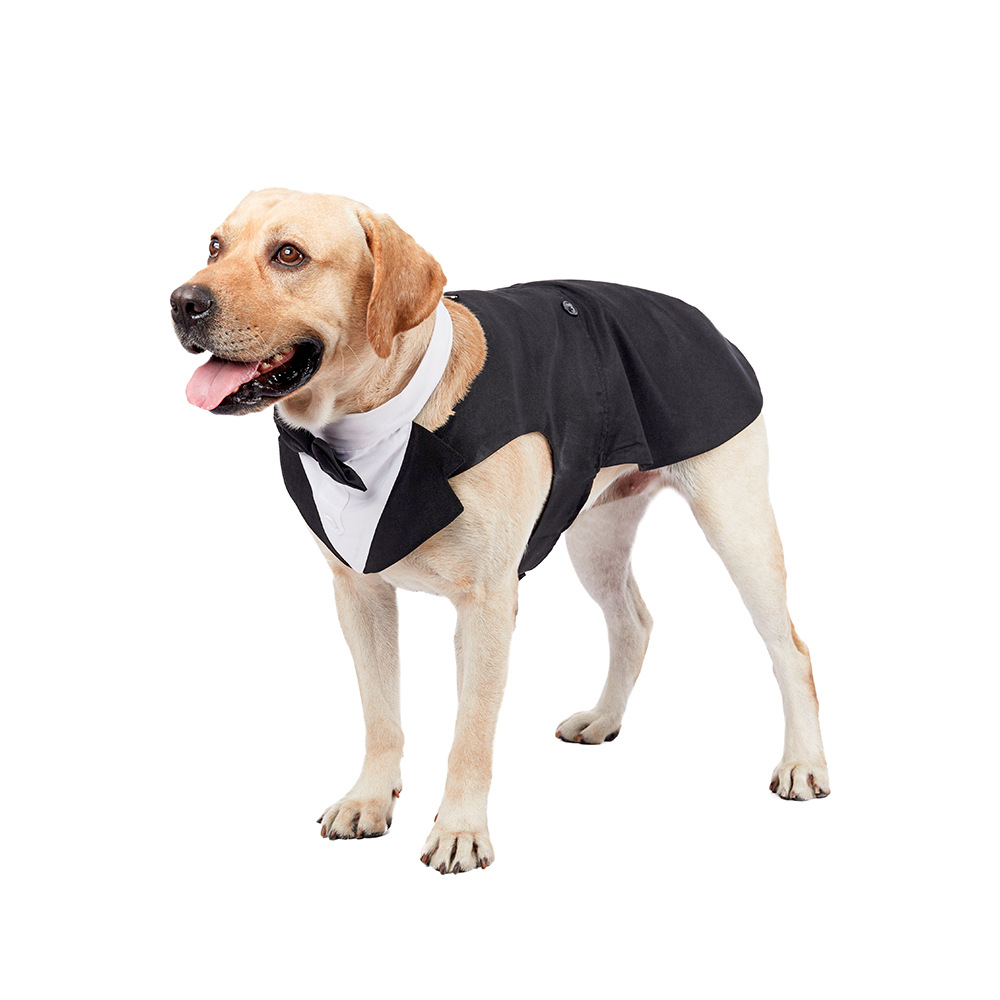 Traje de Novio para Mascotas Grande - Vestido con Corbata y Cuello de Gentleman para Perros Grandes y Pequeños — imagen 3