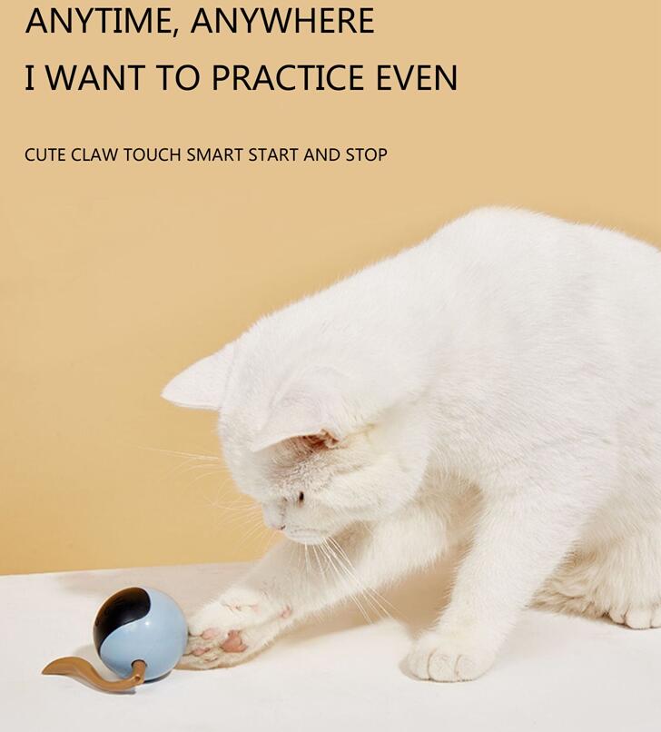 Fofos Two Lucky Raccoon Magic Ball Cat Toy Electric Intelligent Automatic Funny Cat Ball Relieve Boredom And Bite Led Light — image 2