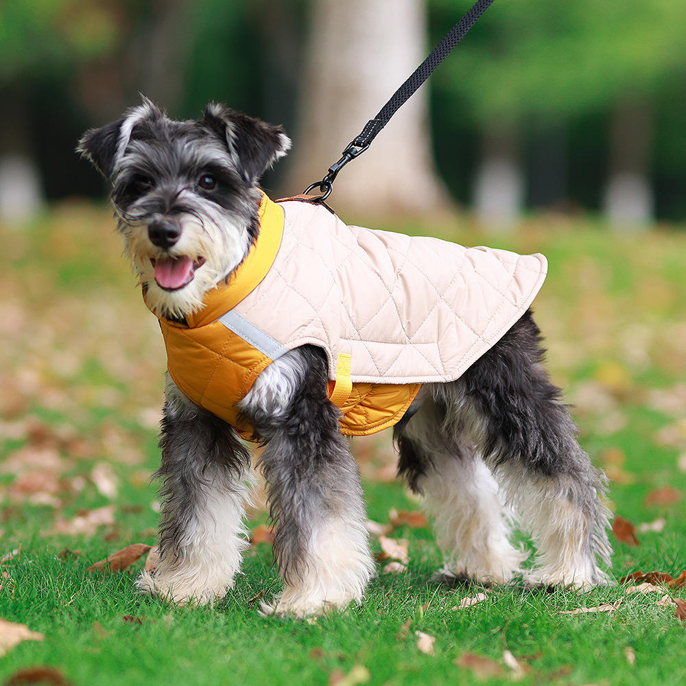 Ropa de Mascotas para Otoño e Invierno Reflectante y Caliente - Ropa de Algodón Pintada con Revestimiento de Espuma para Perros - Suministros para Mascotas — imagen 3
