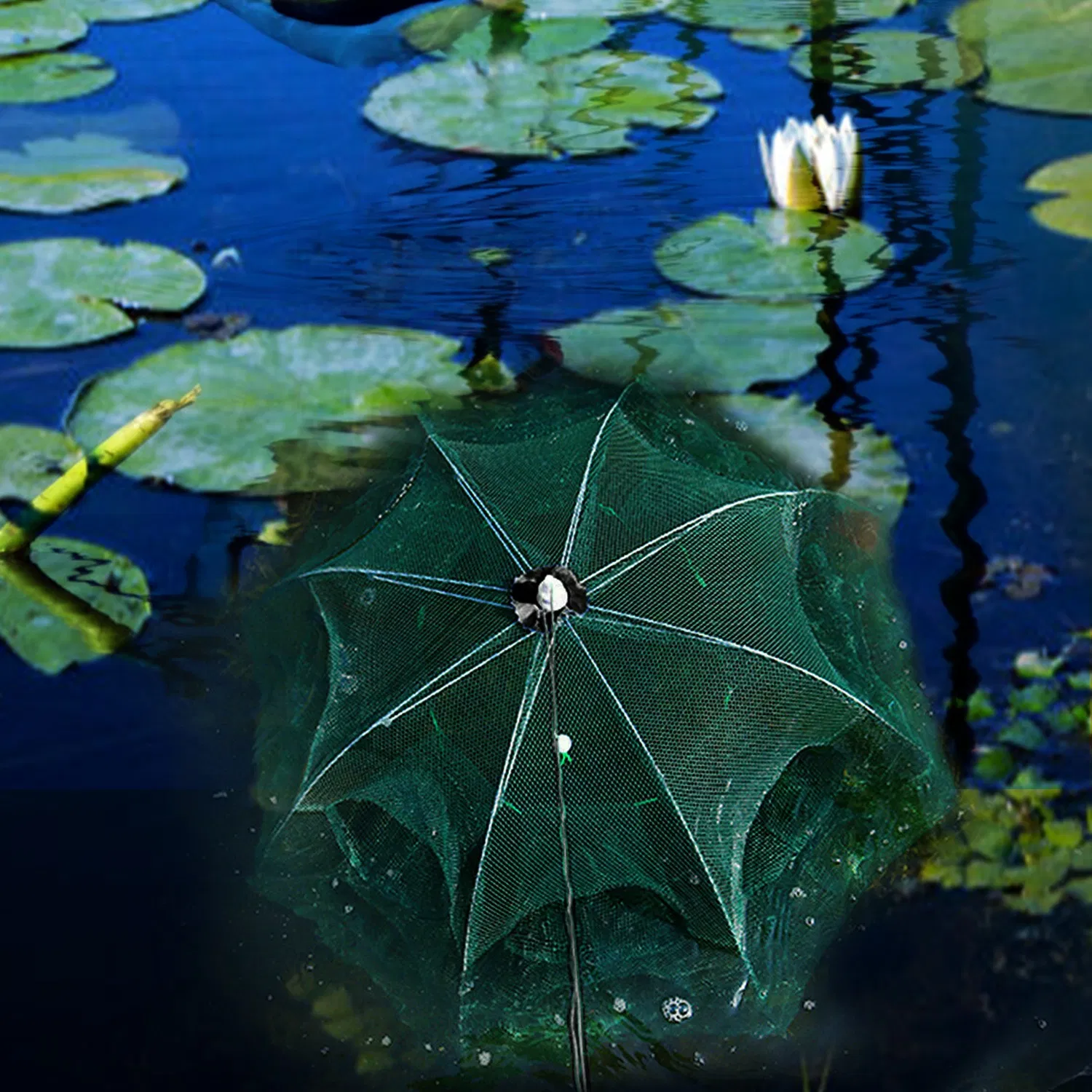 Fishing Trap Net Portable Folded Fishing Bait Trap Shrimp Minnow Crab Bait Net 6 Sides 6 Holes Crayfish Cast Mesh Trap Automatic — imagen 7