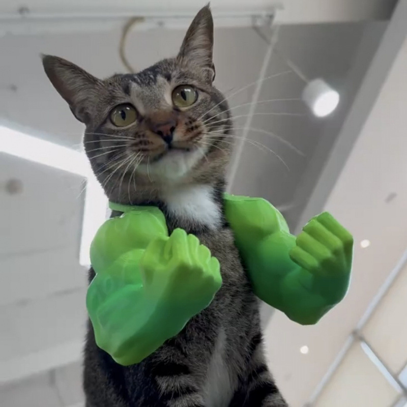 Hulk Cat Arm Pet Dog Toy Photography Prop 3D Printed Cute Funny Creative Cat Costume Backpack — image 2