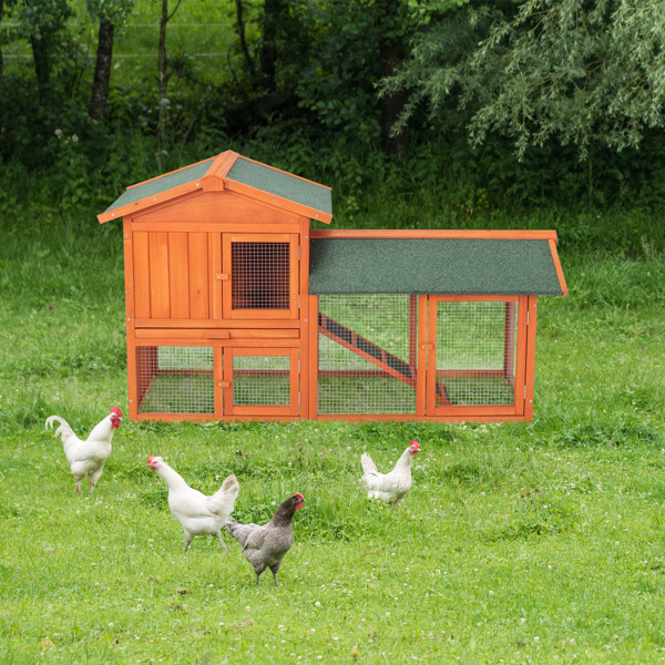Casa de Pollos en Madera para Conejos y Pájaros - Galpón de Aves — imagen 7