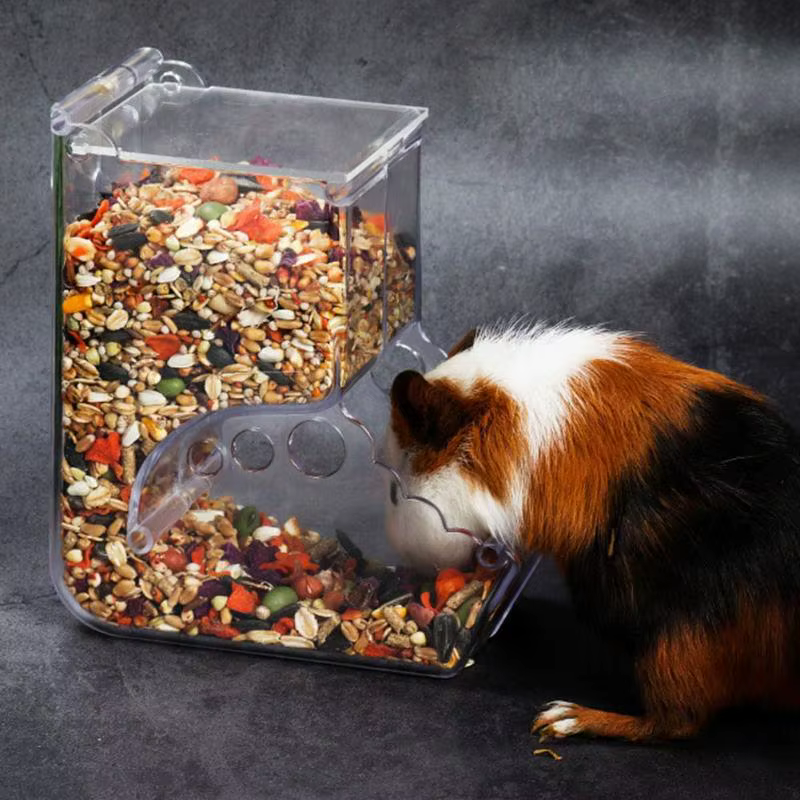Alimentador Automático Transparente para Hamsters y Conejos de Alimento Plástico Contenedor Dispensador — imagen 3