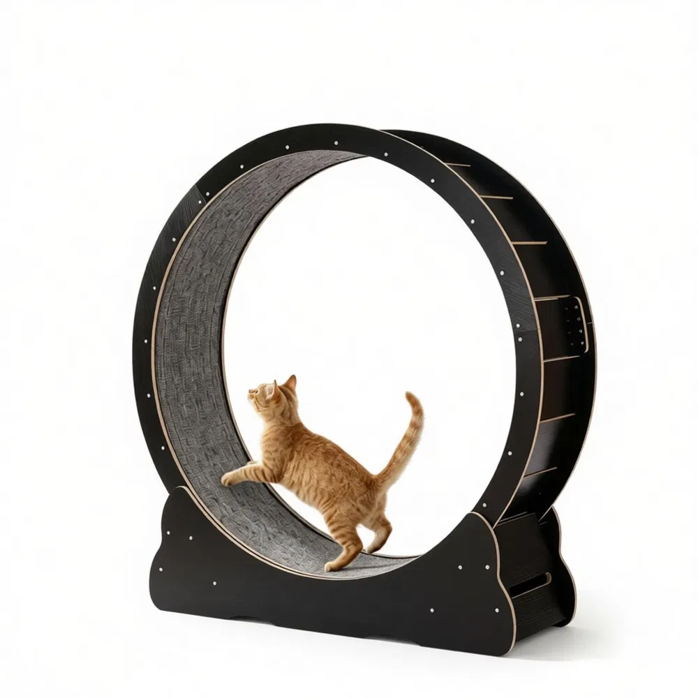 Wooden Cat Exercise Wheel — image 2