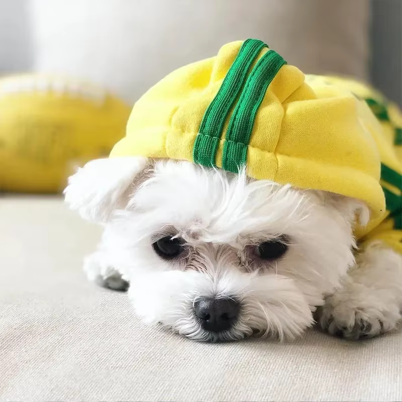 Pet Clothes French Bulldog Puppy Dog Pet Jumpsuit Chihuahua Pug Pets Dogs Clothing for Small Medium Dogs Puppy Outfit — image 6
