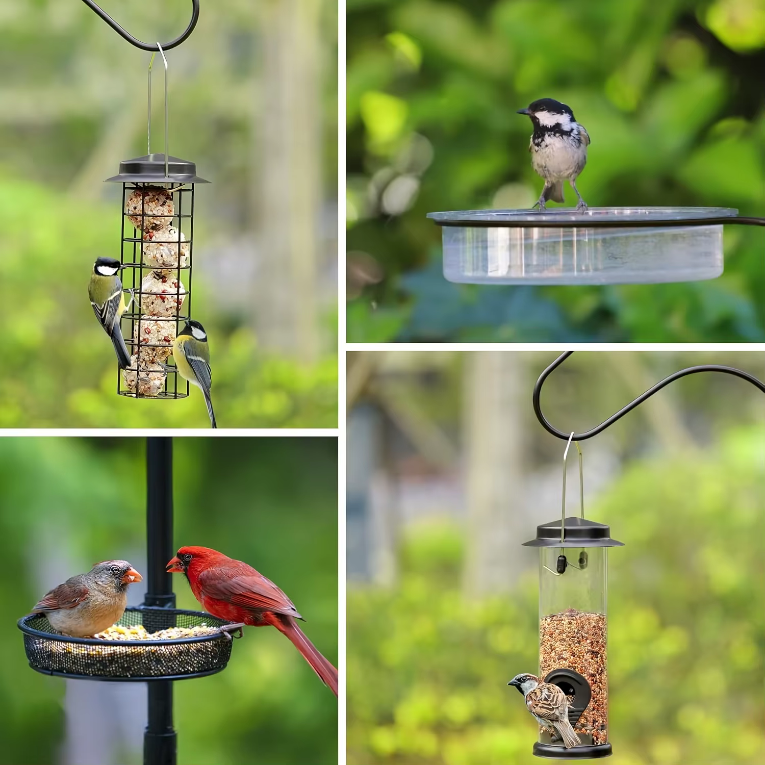 Kit de Soporte para Palomas con Pole de 80 Pulgadas - Montaje Ajustable para Colibríes, Poste Universal con 5 Ganchos, Balaústres contra Ardillas, Complementos y Platos de Alimento para Jardín — imagen 4