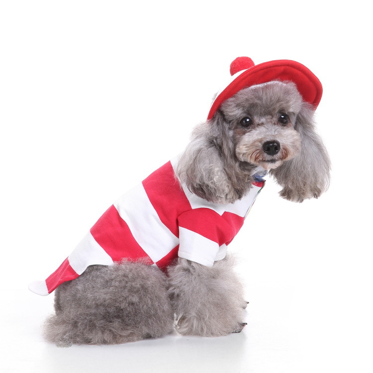 Dog Halloween costume with funny costumes — image 7