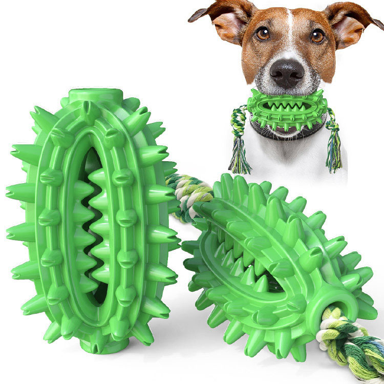 New dog toy with rope cactus ball molar stick toothbrush dog chew pet supplies — image 2