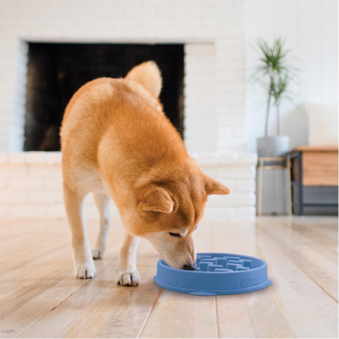Tazón de Alimentación Lento Medio 2 Tazas Capacidad, Comida Lenta, Perros y Gatos Pequeños a Medianos, No Deslizante, Azul, Patrón de Corteza — imagen 6