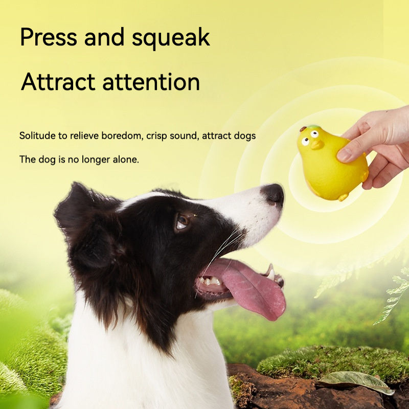 Latex teasing and frustrating frog yellow duck making sounds grinding teeth to relieve boredom — imagen 4