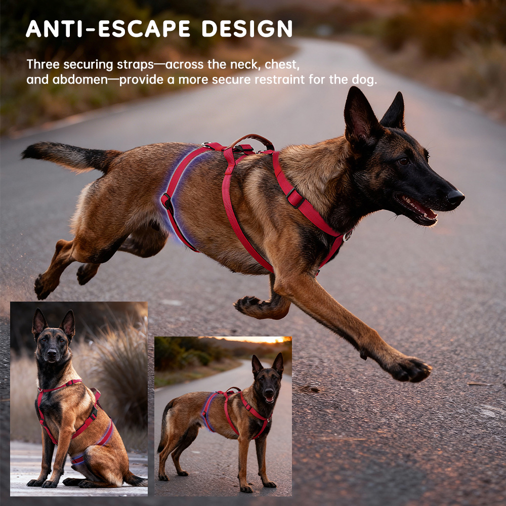Tactical No-Pull Dog Harness, Bulletproof Vest Style for Large Dogs — image 14