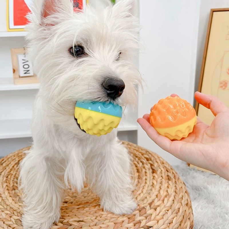 Dog Toy Training Teeth Grinding Ball Speaking Toothbrush Dog Outdoor Interaction — image 7