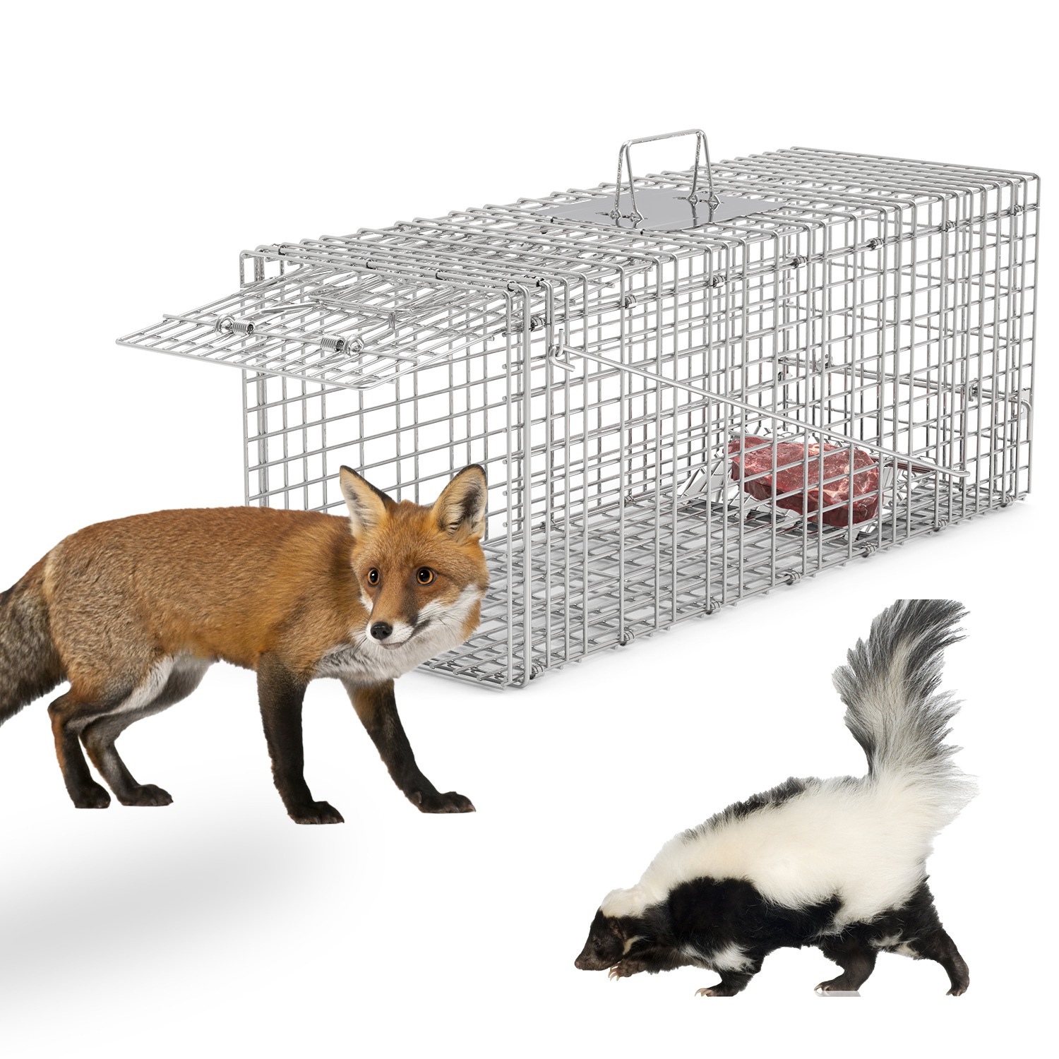 Humane Cat Trap Cage Catch Release Live Animal Rodent Cage Collapsible Galvanized Wire For Raccoons Beavers Groundhogs Foxes Armadillos Fedex Shipping — imagen 1