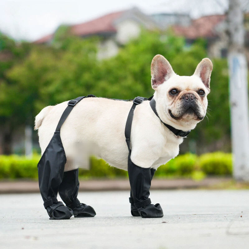 Botas para Perro con Tirantes Antideslizamiento: Protectores de Patas Impermeables y Antideslizantes para un Ajuste Seguro en Aventuras al Aire Libre — imagen 3